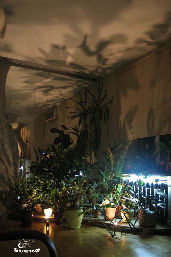Зона «зимнего сада». Зеркало на стене. Терраса под горшки. Подсветка цветов из пола. Подсветка под подоконниками. Дизайн интерьера.